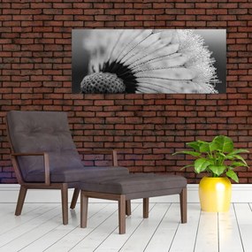 Tablou cu păpădie - albnegru (120x50 cm)