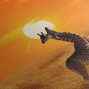 Tablou - Girafe în Parcul Național Serengeti (cu ceas) (90x30 cm)