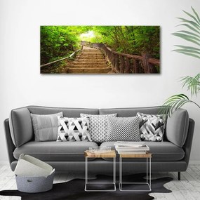 Tablou pe pânză canvas Scari din pădure