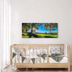 Tablou Privire la câmp (120x50 cm)
