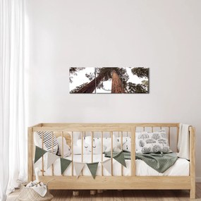 Tablou - Privire prin vârfurile copacilor (cu ceas) (90x30 cm)