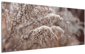 Tablou cu plante (120x50 cm)