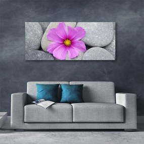 Tablou pe panza canvas Pietrele florale flori roz gri