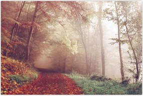 Tablou - Plimbarea de toamnă prin pădure (90x60 cm)