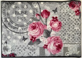 Covoras intrare lavabil Roses 50/75 cm