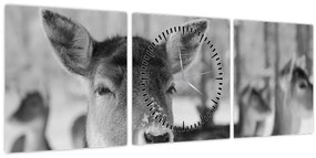 Tablou - Cerbi,alb-negru (cu ceas) (90x30 cm)