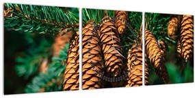 Tablou cu con de brad (cu ceas) (90x30 cm)