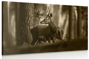 Tablou cerbul în pădure de pini în sepia