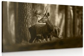 Tablou cerbul în pădure de pini în sepia