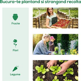 Outsunny Sera de Gradina cu Rafturi din Metal si Copertina din PE, Sera pentre Legume cu Usa Rulou 80x49x160cm, Verde | Aosom Romania