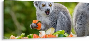 Tablou cu lemur (120x50 cm)