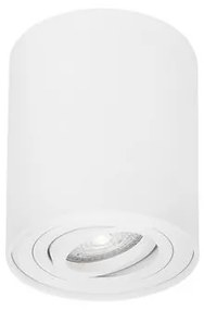 Spot aplicat directionabil GOZZANO alb NVL-820001