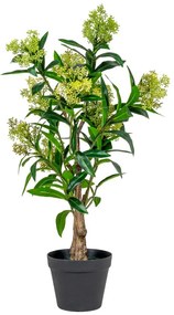 Skimmia fa műnövény, zöld 75 cm