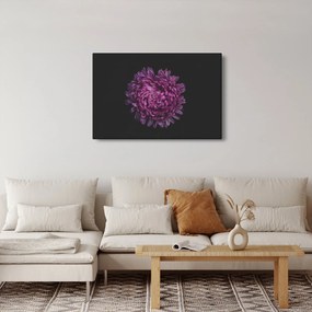 Tablou cu floare violetă (90x60 cm)