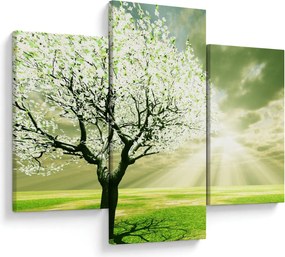 Tablou cu copaci pe luncă (90x60 cm)