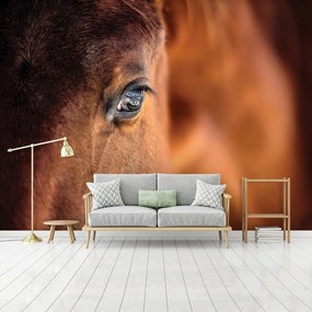 Fototapet - Cal (152,5x104 cm)