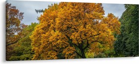 Tablou cu copac (120x50 cm)
