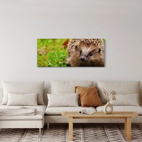 Tablou cu arici (120x50 cm)
