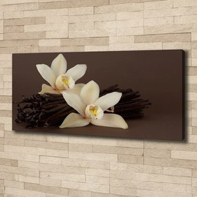 Tablou pe pânză canvas Vanilie pod
