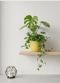 Ghiveci Flori Ocru Linii HOME (Diamentru 13 cm Inaltime 13 cm) masca ceramica