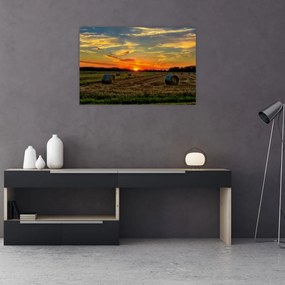 Tablou - Baloți din sat (90x60 cm)