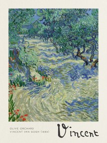 Artă imprimată Olive Orchard - Vincent van Gogh, (30 x 40 cm)