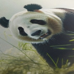 Tablou - Panda (120x50 cm)