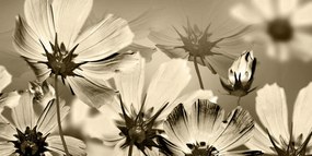 Tablou flori de grădină în design sepia