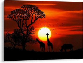 Tablou - Siluete animalelor la apus de soare (70x50 cm)