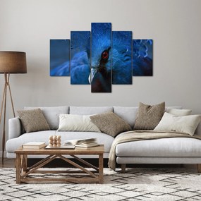 Tablou - Porumbel încoronat (150x105 cm)