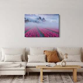 Tablou - Peisaj cu câmpuri de lalele (90x60 cm)