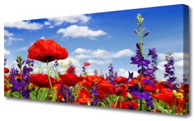 Tablou pe panza canvas Flori Natura Roșu Albastru Verde Violet