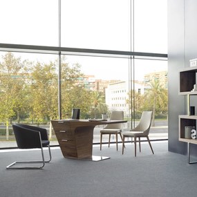 Birou modern design elegant LEO AC-LE051