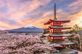 Tablou - Fuji,Japonia (90x60 cm)