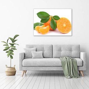 Tablou pe pânză canvas Citrice