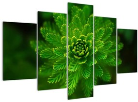 Tablou cu coniferi (150x105 cm)
