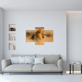 Tablou - Parcul Național Etosha (90x60 cm)