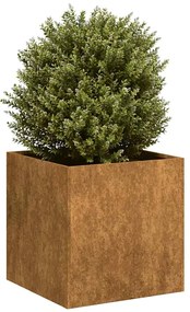 vidaXL Jardinieră Rusty 40x40x40 cm Oțel pentru intemperii