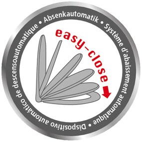 Capac WC 38 x 45 cm Easy-Close (cu închidere automată) Droplets – Wenko