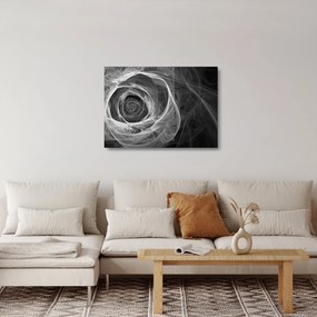 Tablou pe sticlă - Abstract trandafir negru și alb (70x50 cm)