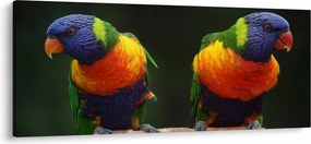 Tablou cu papagali (120x50 cm)