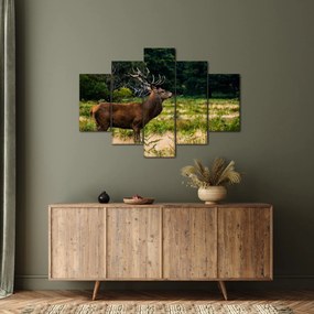 Tablou cu cerb (150x105 cm)