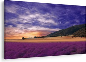 Tablou cu lunca cu lavandă (90x60 cm)