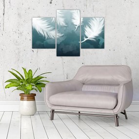 Tablou - Pene albe (90x60 cm)