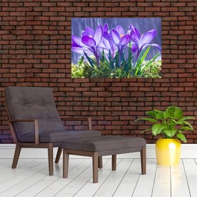 Tablou cuflori în ploaie (90x60 cm)