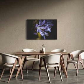 Tablou - Lila (90x60 cm)
