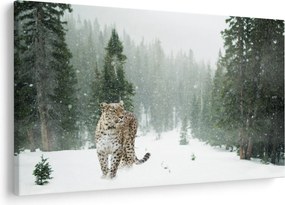 Tablou cu leopard în zăpadă (90x60 cm)