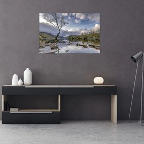 Tablou cu râu și copac (90x60 cm)