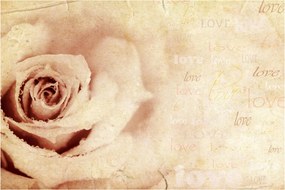 Tablou - floare de trandafir pentru îndrăgostiți (90x60 cm)