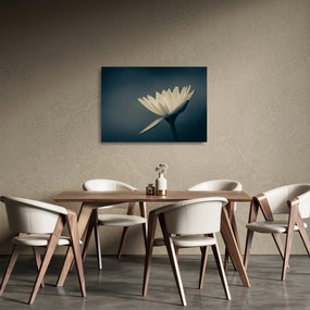 Tablou pe sticlă cu flori (70x50 cm)